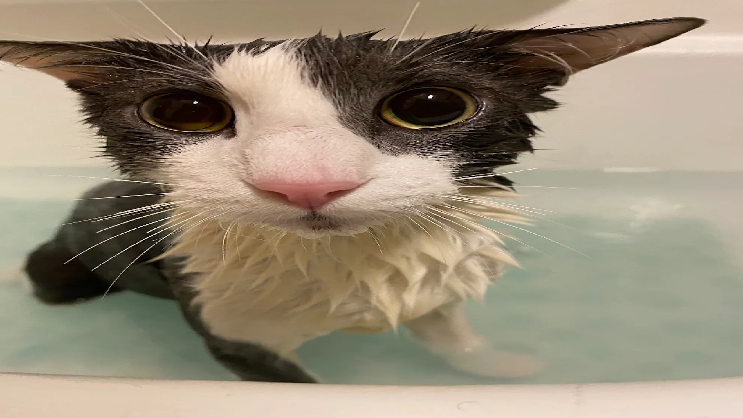 Soggy